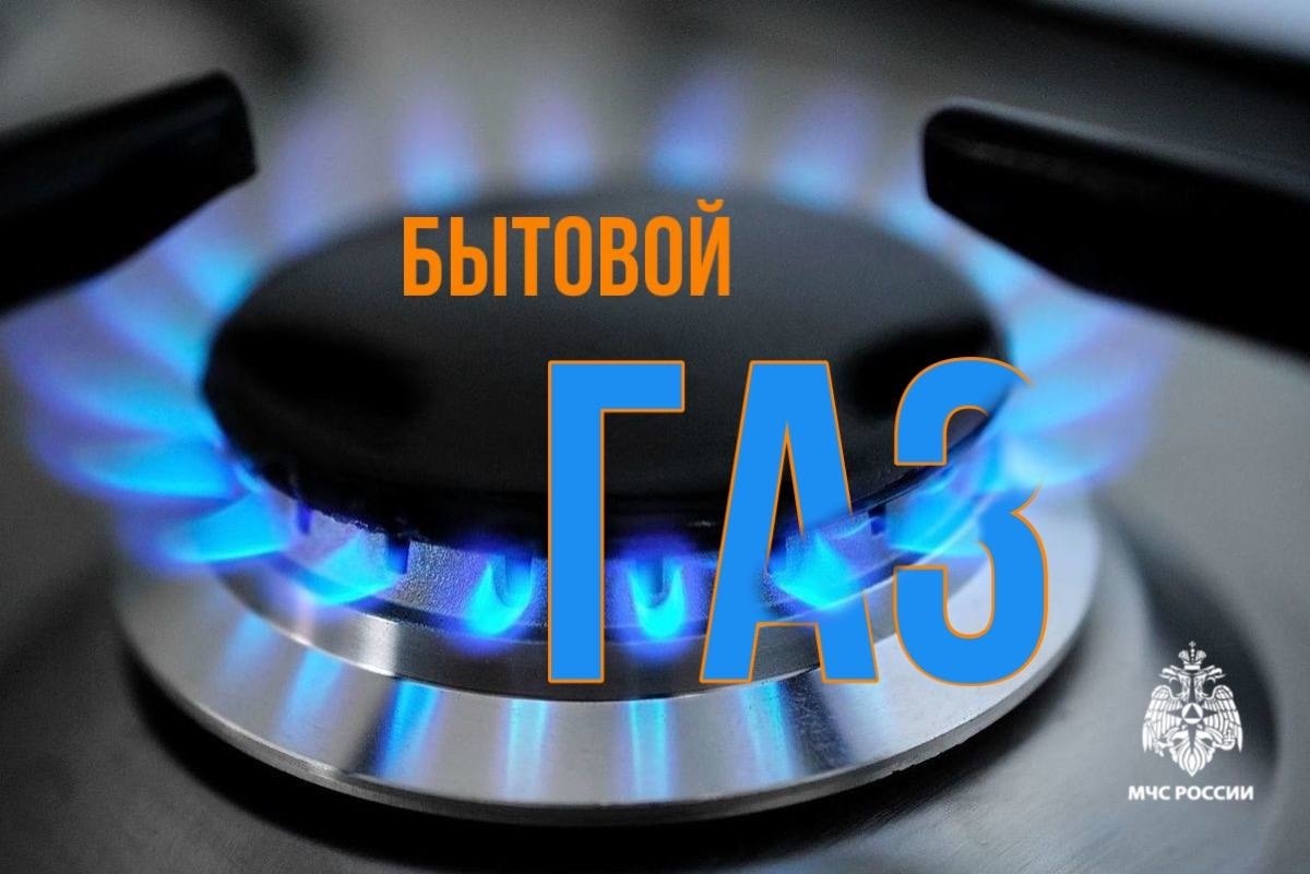 Природный газ – наш незаменимый помощник в быту.