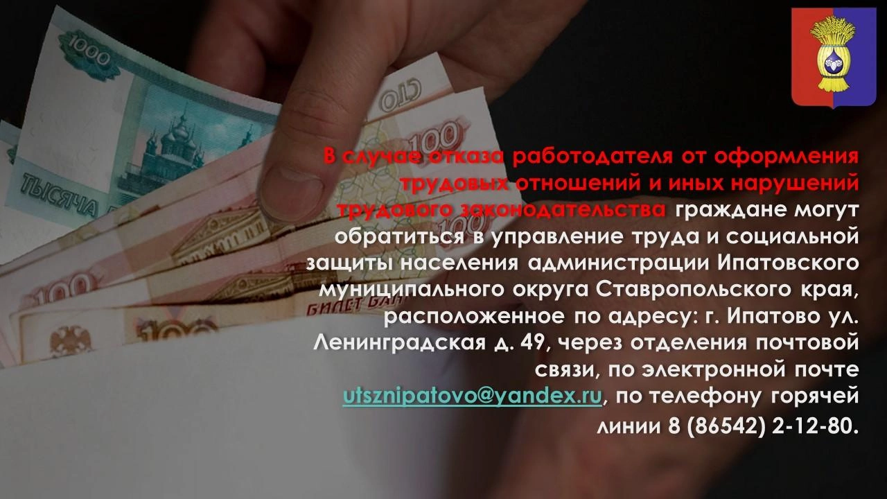 О работе телефона «горячей линии» по вопросам соблюдения  трудовых прав граждан..