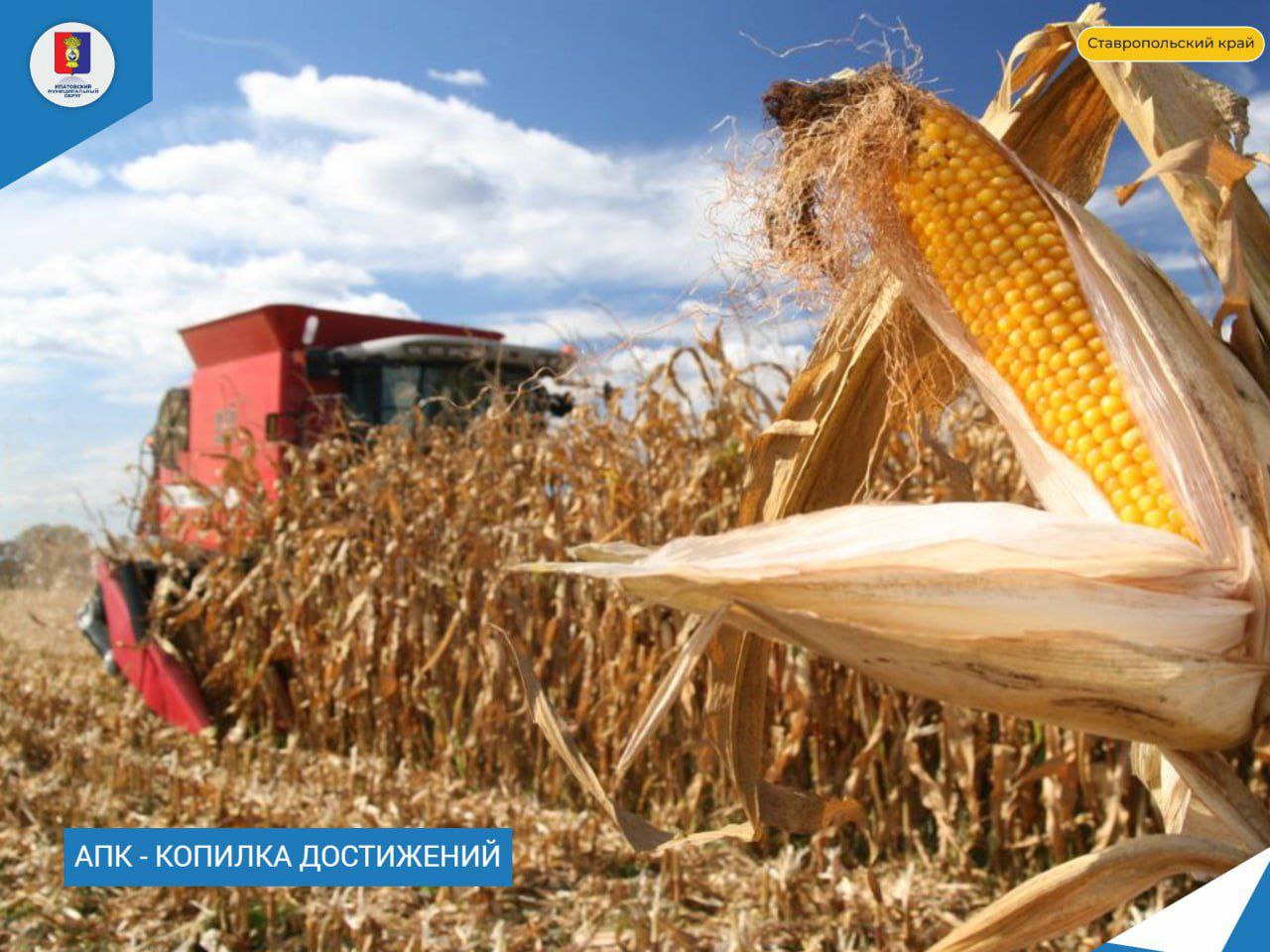 Аграрии нашего округа всегда трудятся на результат.