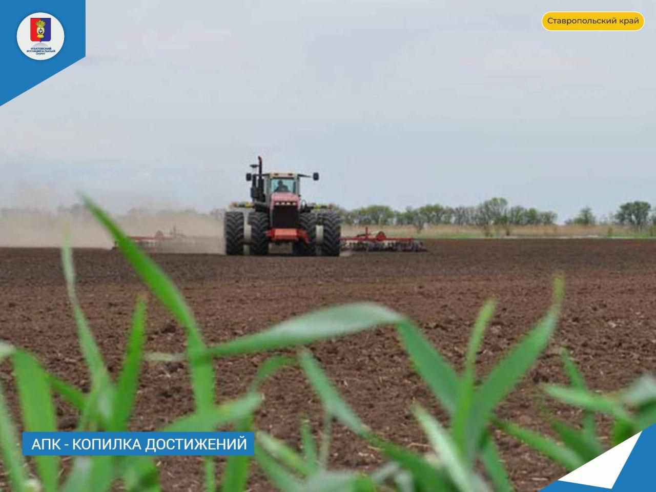 В нашем округе успешно завершилась посевная кампания яровых зерновых.