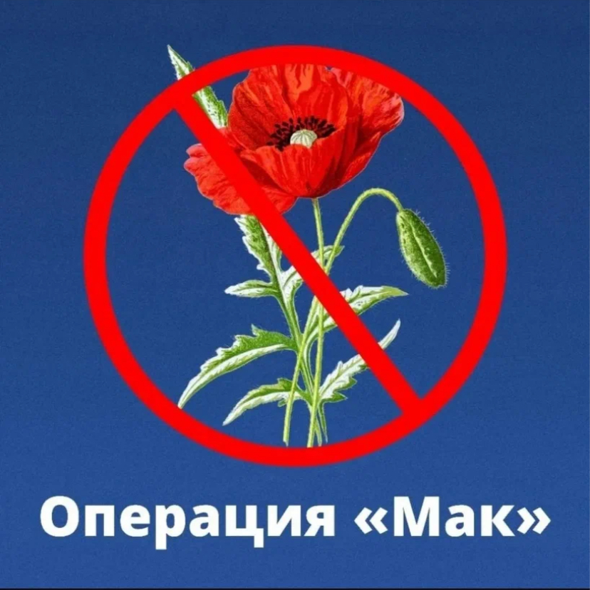 Мак-2025.