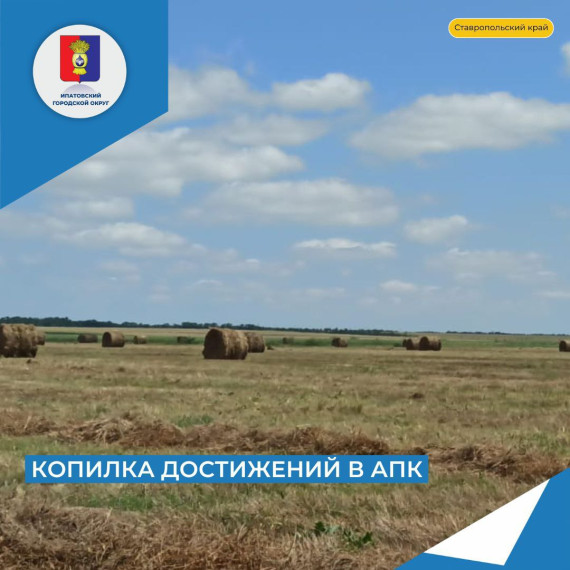 В сельскохозпредприятиях Ипатовского округа продолжается заготовка кормов. В сельскохозпредприятиях Ипатовского округа продолжается заготовка кормов.