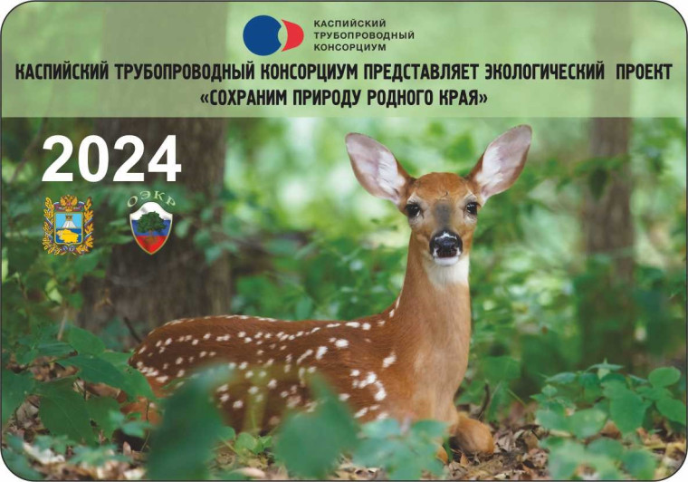 Конкурс КТК "Сохраним природу родного края" 2023. Конкурс КТК "Сохраним природу родного края" 2023.
