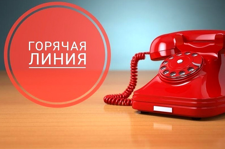 О работе телефона «горячей линии» по вопросам соблюдения трудовых прав граждан. О работе телефона «горячей линии» по вопросам соблюдения трудовых прав граждан.