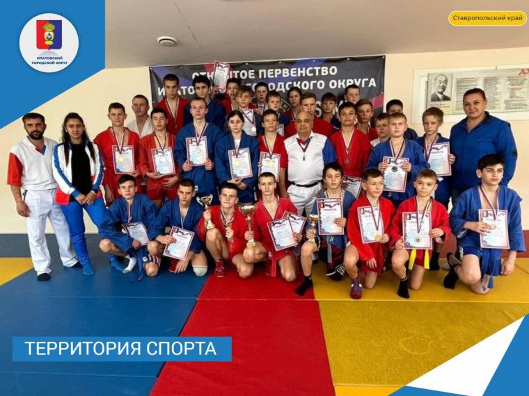 Спортивное самбо. Спортивное самбо.