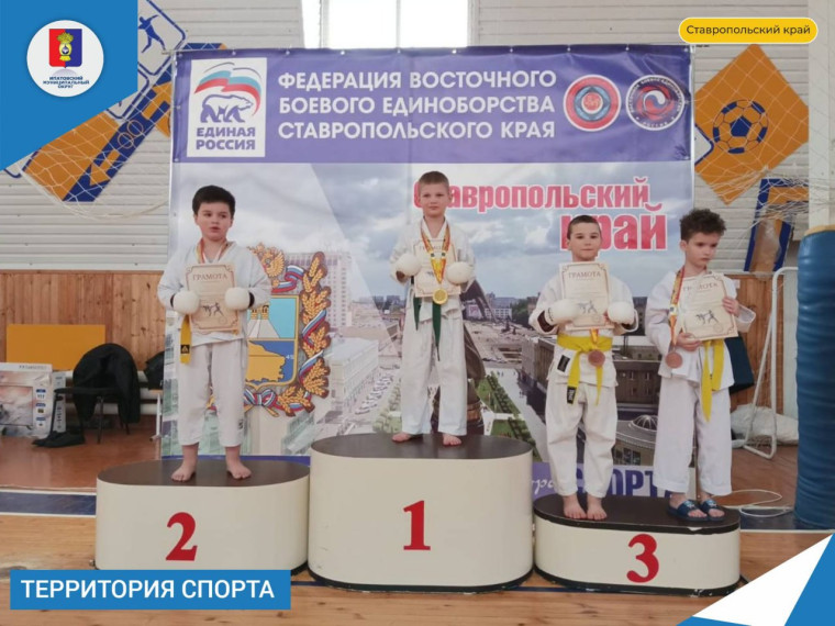 Соревнования "Юный каратист". Соревнования "Юный каратист".