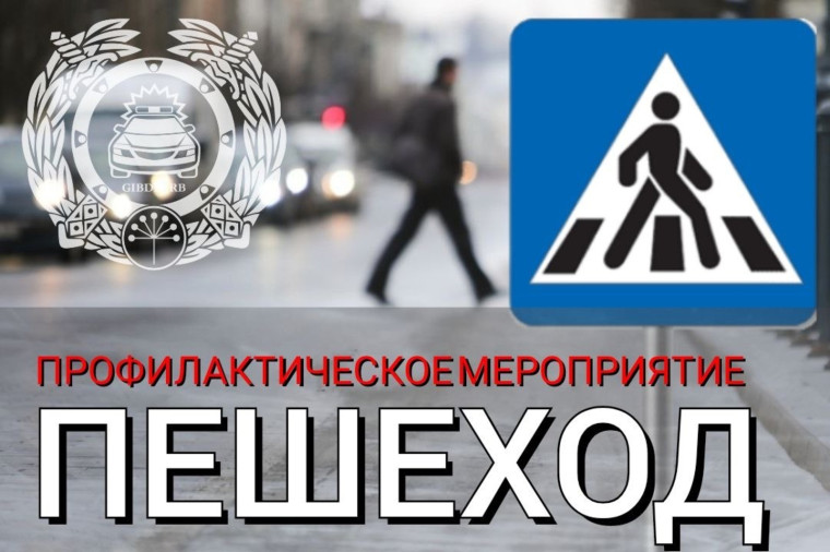 C 13 по 15 апреля проводится профилактическое мероприятие «Пешеход». C 13 по 15 апреля проводится профилактическое мероприятие «Пешеход».