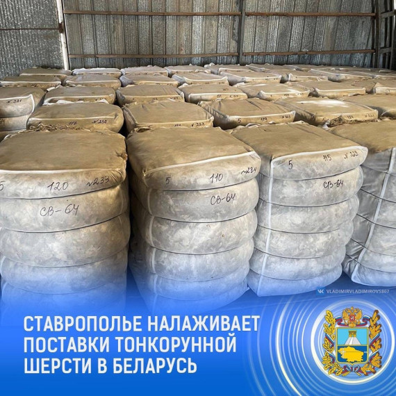 Расширяем географию экспорта шерсти ставропольского производства. Расширяем географию экспорта шерсти ставропольского производства.