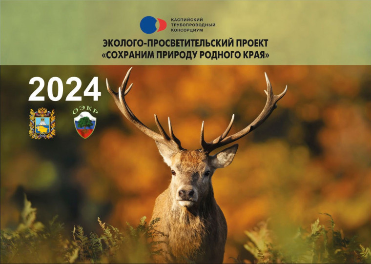 По страницам Красной книги родного края. По страницам Красной книги родного края.