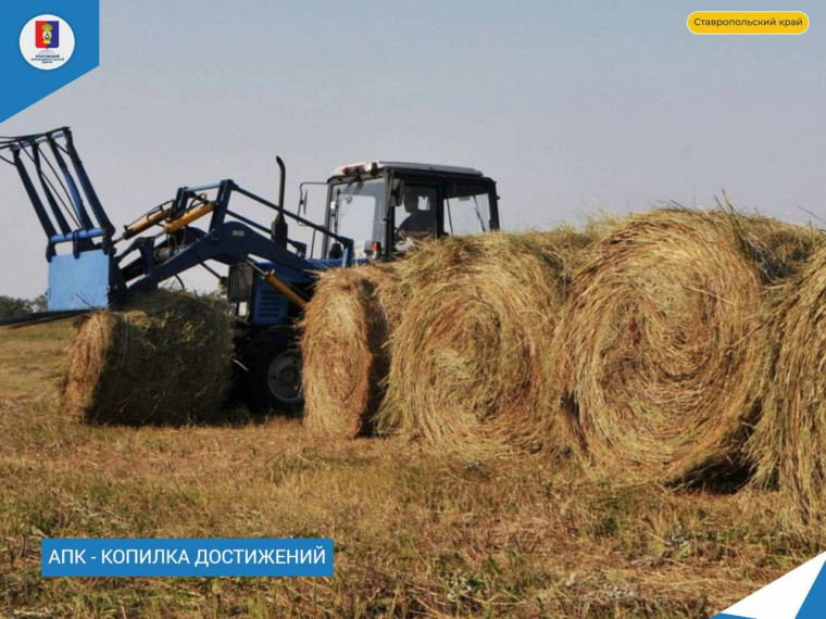 Животноводы округа готовятся к предстоящей зимовке скота. Животноводы округа готовятся к предстоящей зимовке скота.