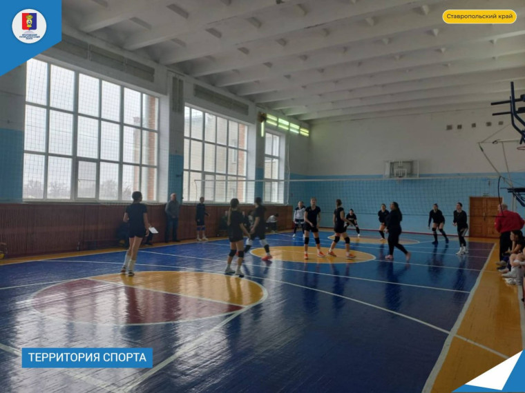 Зрелищно и эмоционально в Ипатово прошли открытые соревнования по волейболу. Зрелищно и эмоционально в Ипатово прошли открытые соревнования по волейболу.