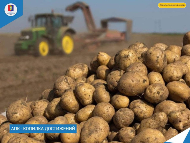 Завершается уборка картофеля. Завершается уборка картофеля.