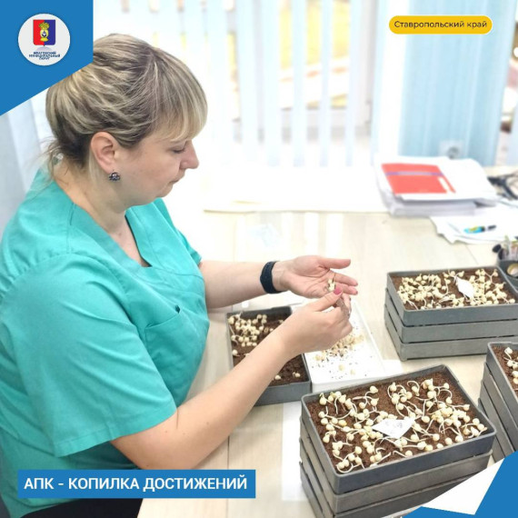 Наш округ играет важную роль в крае по выращиванию яровых культур. Наш округ играет важную роль в крае по выращиванию яровых культур.