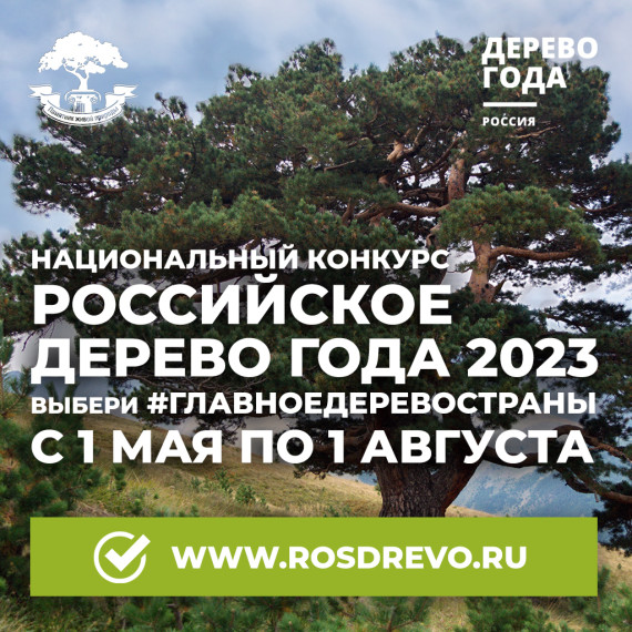 Национальный конкурс «Российское дерево года 2023». Национальный конкурс «Российское дерево года 2023».