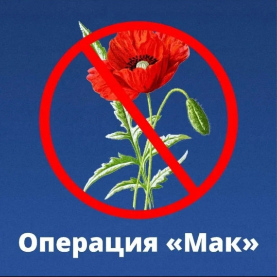 Мак-2025. Мак-2025.