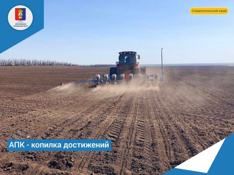 В Ипатовском округе завершен сев яровых культур!. В Ипатовском округе завершен сев яровых культур!.
