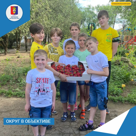 Воспитанники Ипатовского " Причала" отведали вкусной сладкой клубники. Воспитанники Ипатовского " Причала" отведали вкусной сладкой клубники.