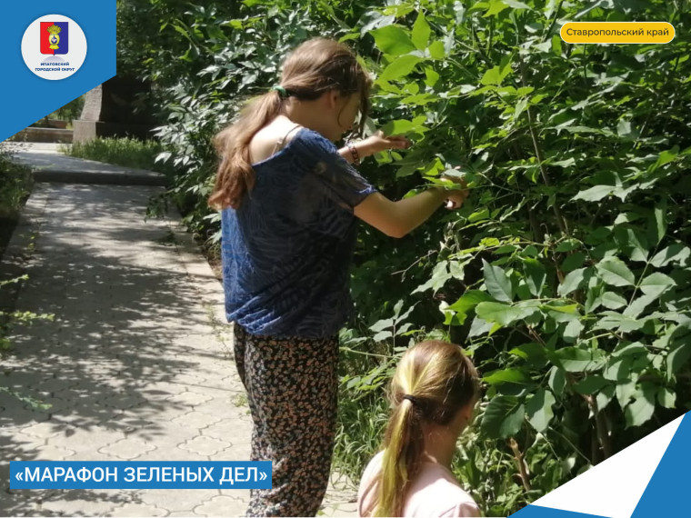 Беречь природу дар бесценный. Беречь природу дар бесценный.